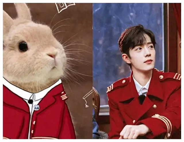 7位长得像动物的明星，王一博肖战上榜，看到千玺：这也太像了