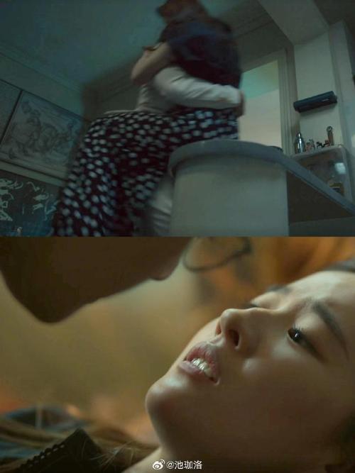 爱寻迷完整版在线观看_寻爱迷电视剧_唉寻迷免费观看